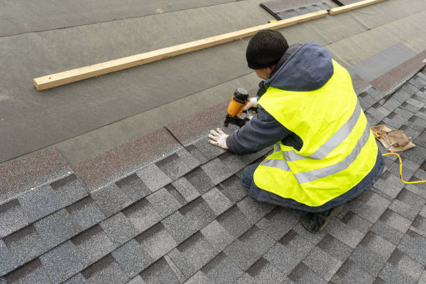 Best Roof Gutter Cleaning  in Litchfield, IL